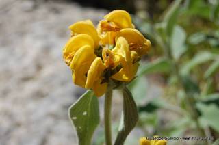 ntana Paradiso-15-05-2014 17-38-26